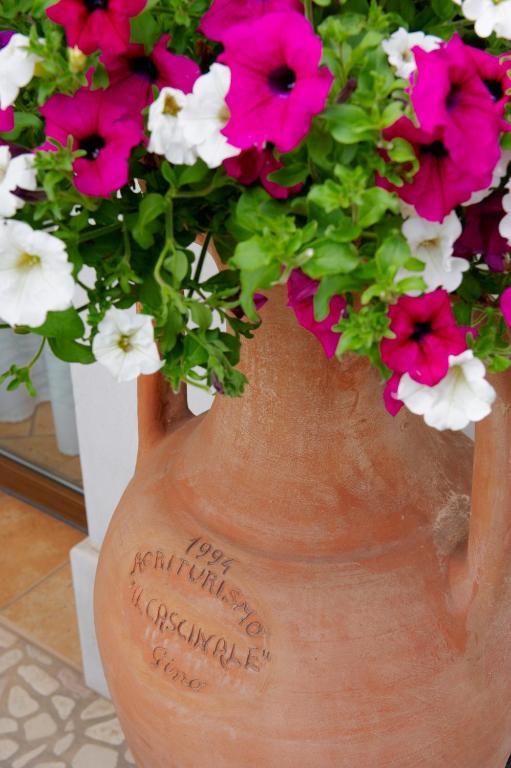 Agriturismo Il Cascinale Τρεβίζο Εξωτερικό φωτογραφία